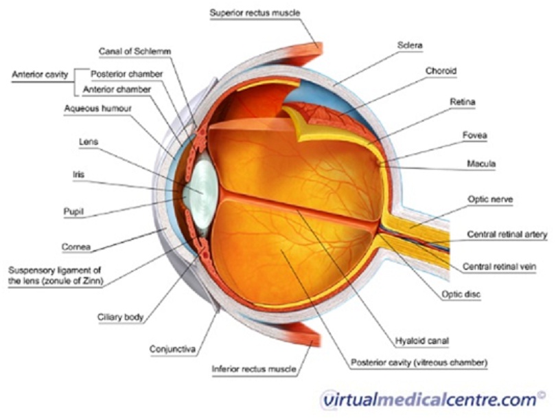 Eye Disorders